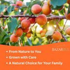 Sun Dried Turkish Apricots Resealable Bag, 14.5 Ounce
